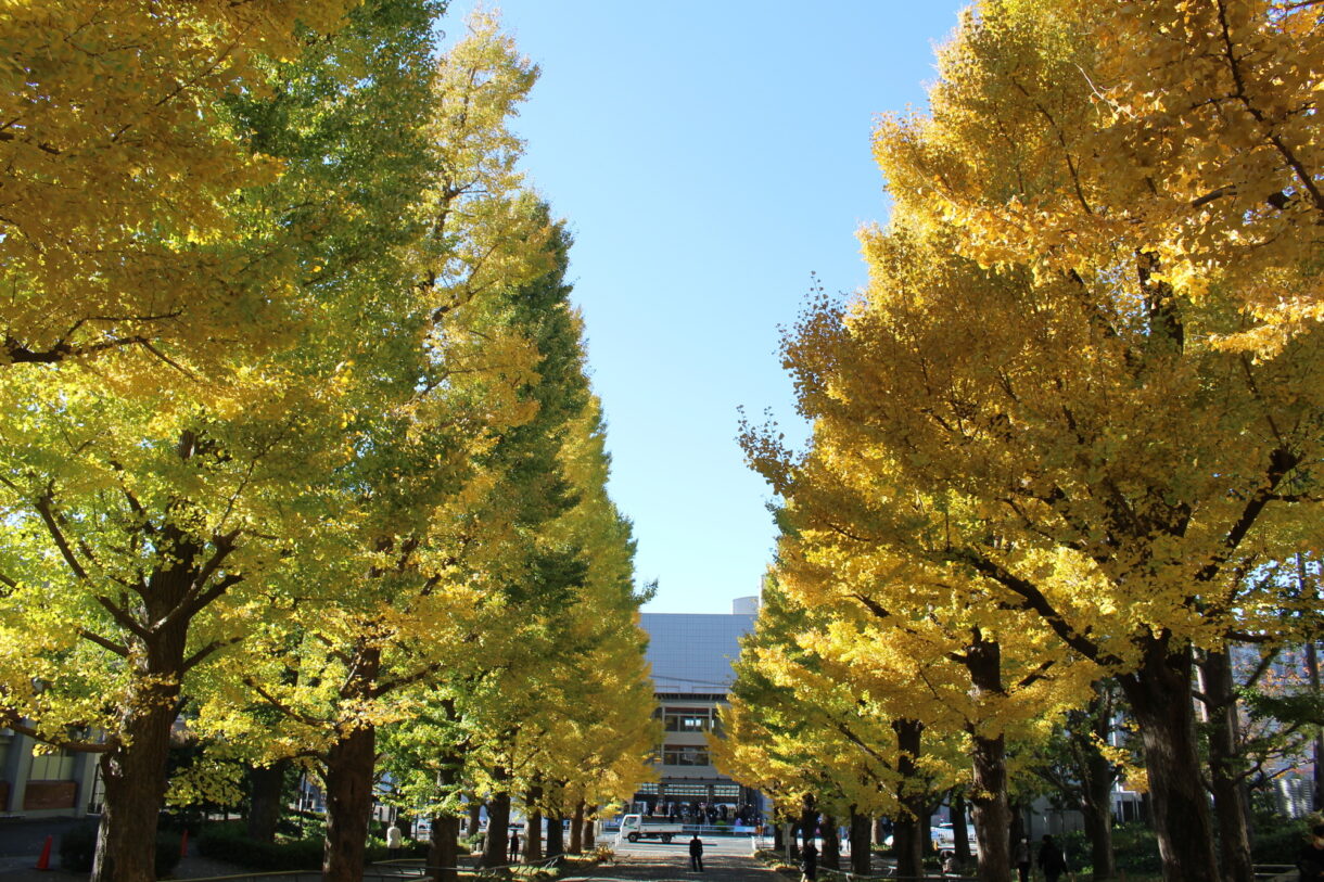 慶應義塾大学