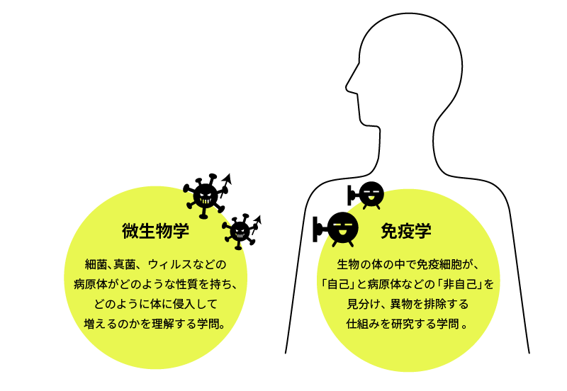 微生物学と免疫学