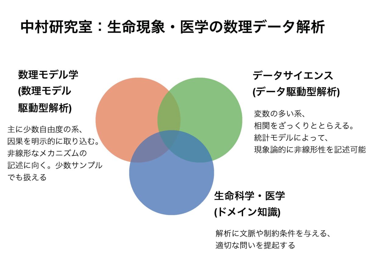 中村研究室：生命現象・医学の数理データ解析