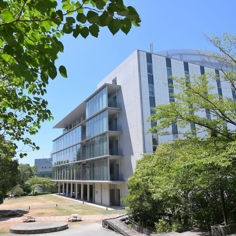 桐蔭横浜大学スポーツ科学部