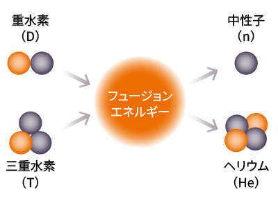 図版